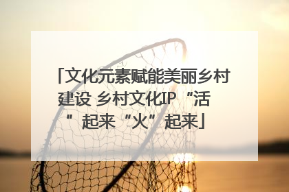 文化元素赋能美丽乡村建设 乡村文化IP“活”起来“火”起来