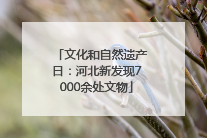 文化和自然遗产日：河北新发现7000余处文物
