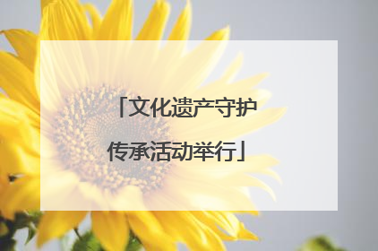 文化遗产守护传承活动举行
