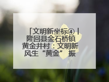 文明新坐标④丨 隆回县金石桥镇黄金井村：文明新风生“黄金” 振兴路上展新姿