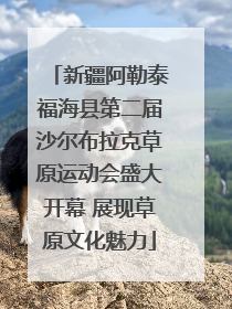 新疆阿勒泰福海县第二届沙尔布拉克草原运动会盛大开幕 展现草原文化魅力