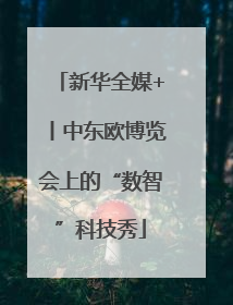 新华全媒+丨中东欧博览会上的“数智”科技秀