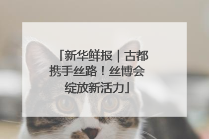 新华鲜报｜古都携手丝路！丝博会绽放新活力