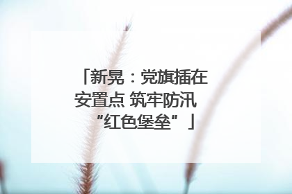 新晃：党旗插在安置点 筑牢防汛“红色堡垒”