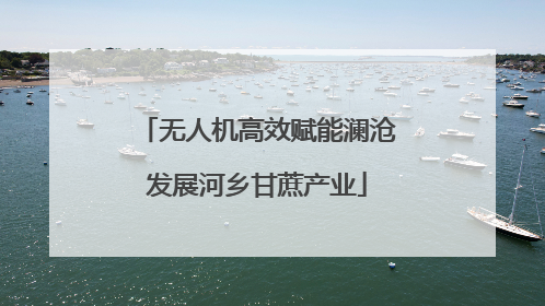 无人机高效赋能澜沧发展河乡甘蔗产业