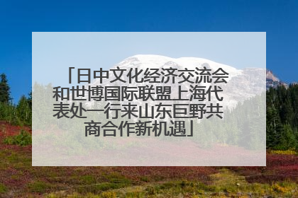 日中文化经济交流会和世博国际联盟上海代表处一行来山东巨野共商合作新机遇