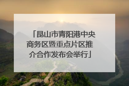昆山市青阳港中央商务区暨重点片区推介合作发布会举行