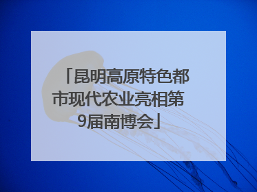 昆明高原特色都市现代农业亮相第9届南博会