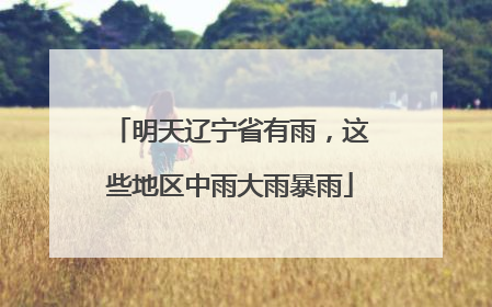 明天辽宁省有雨，这些地区中雨大雨暴雨