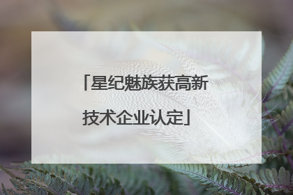 星纪魅族获高新技术企业认定