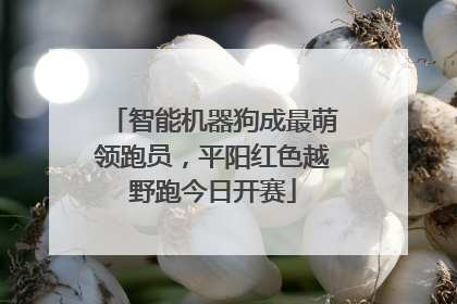 智能机器狗成最萌领跑员，平阳红色越野跑今日开赛