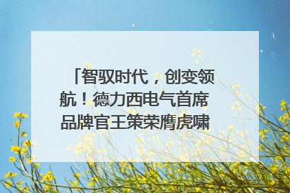 智驭时代，创变领航！德力西电气首席品牌官王策荣膺虎啸奖年度品牌人物