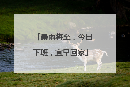 暴雨将至，今日下班，宜早回家