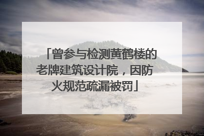 曾参与检测黄鹤楼的老牌建筑设计院，因防火规范疏漏被罚