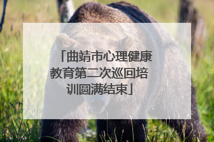 曲靖市心理健康教育第二次巡回培训圆满结束