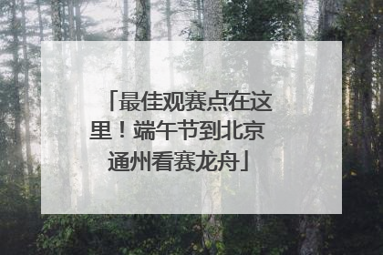 最佳观赛点在这里！端午节到北京通州看赛龙舟