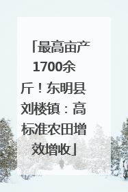 最高亩产1700余斤！东明县刘楼镇：高标准农田增效增收