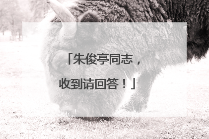 朱俊亭同志，收到请回答！