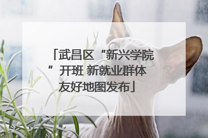 武昌区“新兴学院”开班 新就业群体友好地图发布