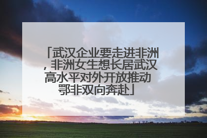 武汉企业要走进非洲，非洲女生想长居武汉 高水平对外开放推动鄂非双向奔赴