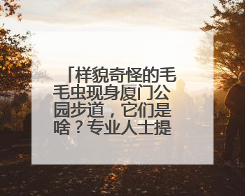 样貌奇怪的毛毛虫现身厦门公园步道，它们是啥？专业人士提醒→