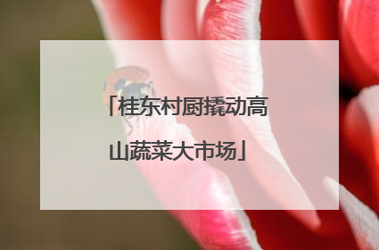 桂东村厨撬动高山蔬菜大市场