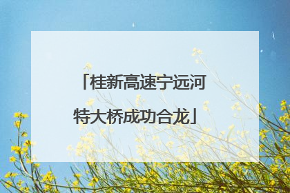 桂新高速宁远河特大桥成功合龙