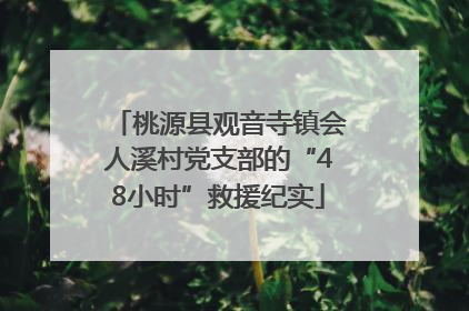 桃源县观音寺镇会人溪村党支部的“48小时”救援纪实
