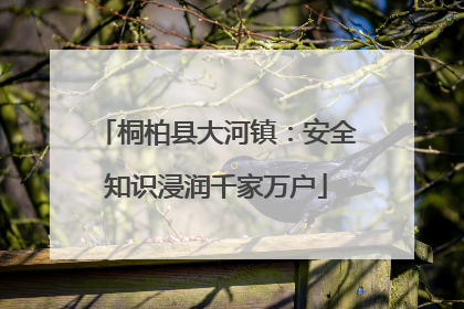 桐柏县大河镇：安全知识浸润千家万户