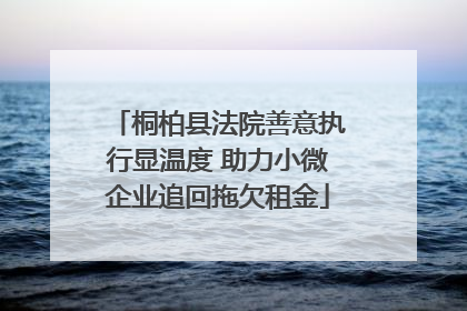 桐柏县法院善意执行显温度 助力小微企业追回拖欠租金