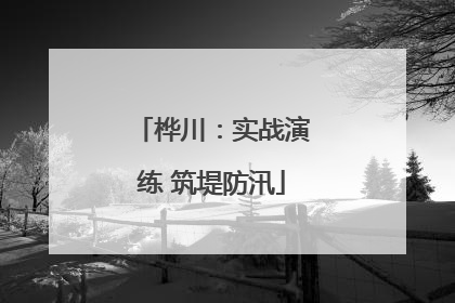 桦川：实战演练 筑堤防汛