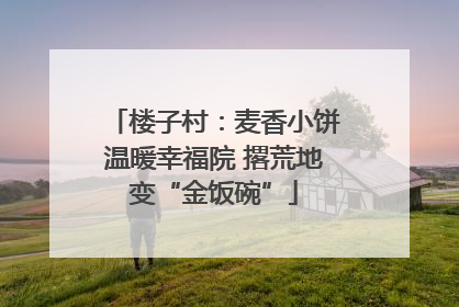 楼子村：麦香小饼温暖幸福院 撂荒地变“金饭碗”