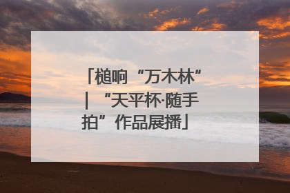 槌响“万木林”｜“天平杯·随手拍”作品展播