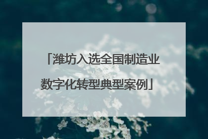 潍坊入选全国制造业数字化转型典型案例