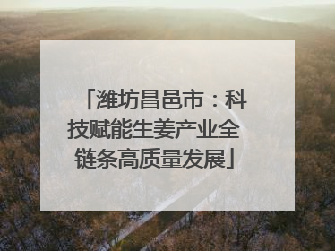 潍坊昌邑市：科技赋能生姜产业全链条高质量发展