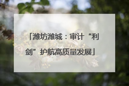 潍坊潍城：审计“利剑”护航高质量发展