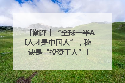潮评丨“全球一半AI人才是中国人”，秘诀是“投资于人”