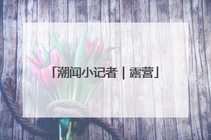 潮闻小记者｜露营