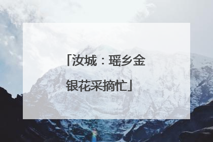 汝城：瑶乡金银花采摘忙