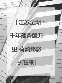 江苏金湖：千年藕香飘万里 荷韵悠悠引客来