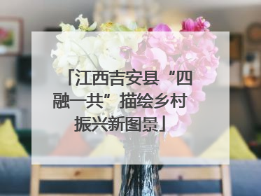 江西吉安县“四融一共”描绘乡村振兴新图景