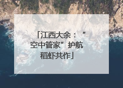 江西大余：“空中管家”护航稻虾共作