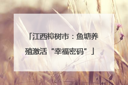 江西樟树市：鱼塘养殖激活“幸福密码”
