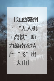 江西赣州：“无人机+高铁”助力赣南农特产“飞”出大山