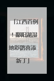 江西首例！鄱阳湖湿地彩鹮喜添新丁