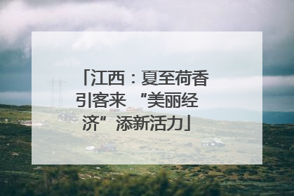 江西：夏至荷香引客来 “美丽经济”添新活力