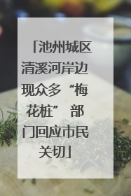 池州城区清溪河岸边现众多“梅花桩” 部门回应市民关切
