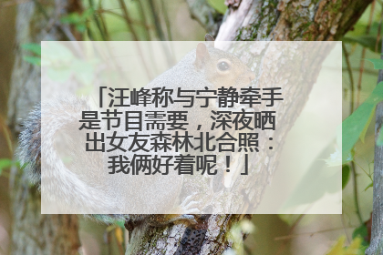 汪峰称与宁静牵手是节目需要，深夜晒出女友森林北合照：我俩好着呢！