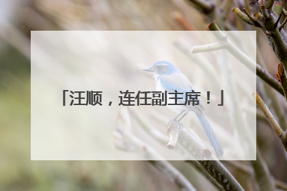 汪顺，连任副主席！