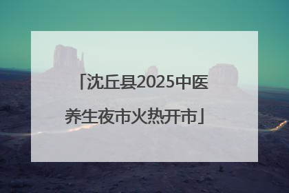 沈丘县2025中医养生夜市火热开市